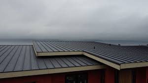 Best Commercial Roofing Services  in Shelby, NC